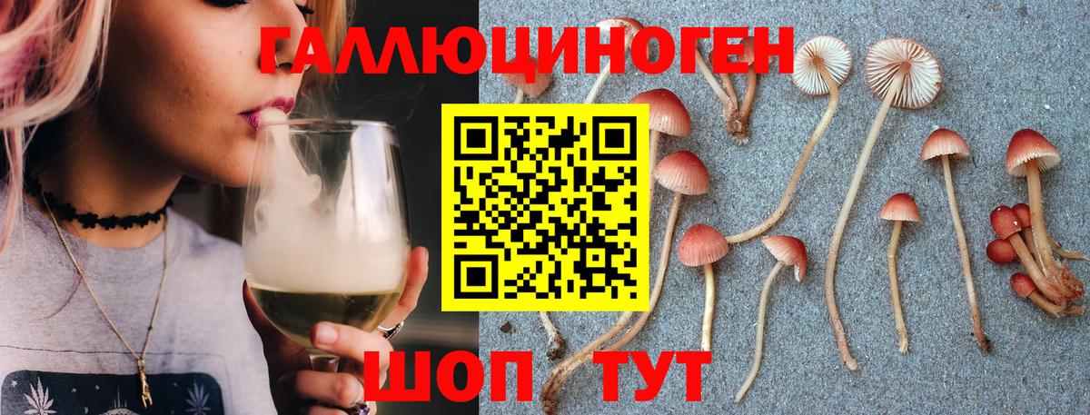 Псилоцибиновые грибы Psilocybe Тулун